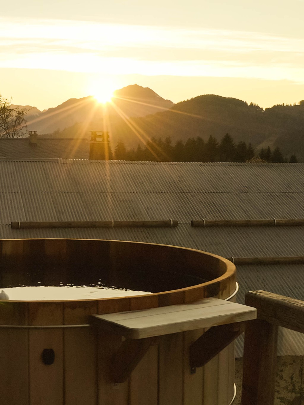  Bain nordique ou spa traditionnel : lequel choisir ?